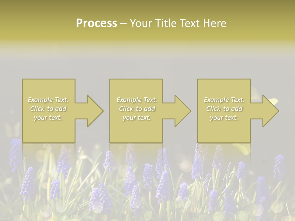 Bright Insect Close Up PowerPoint Template