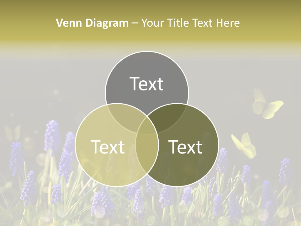 Bright Insect Close Up PowerPoint Template