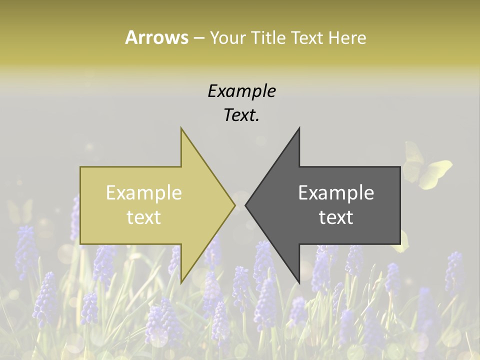 Bright Insect Close Up PowerPoint Template