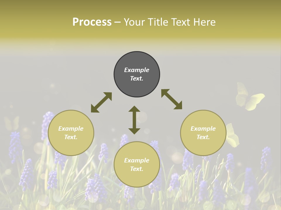 Bright Insect Close Up PowerPoint Template