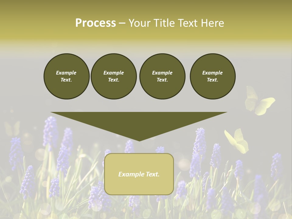 Bright Insect Close Up PowerPoint Template