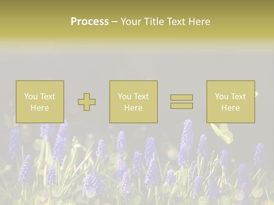 Bright Insect Close Up PowerPoint Template