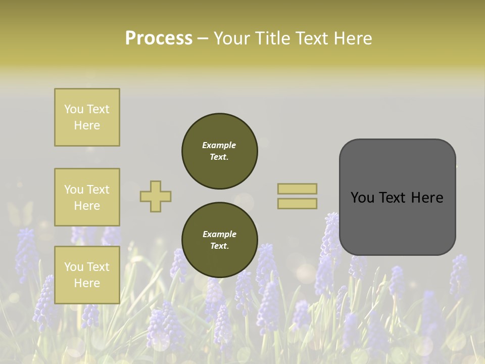 Bright Insect Close Up PowerPoint Template