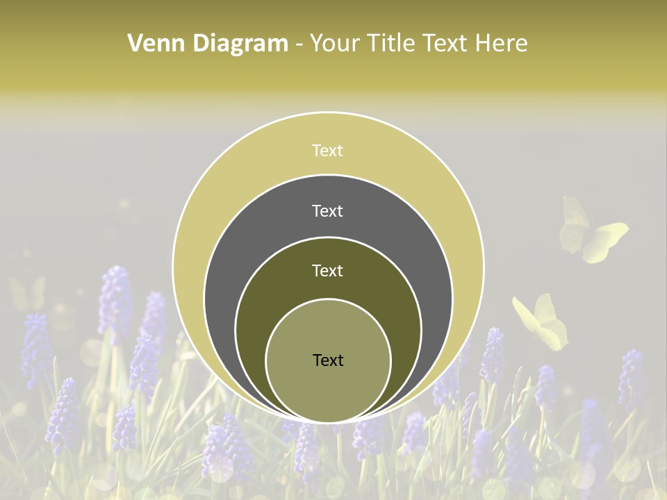 Bright Insect Close Up PowerPoint Template