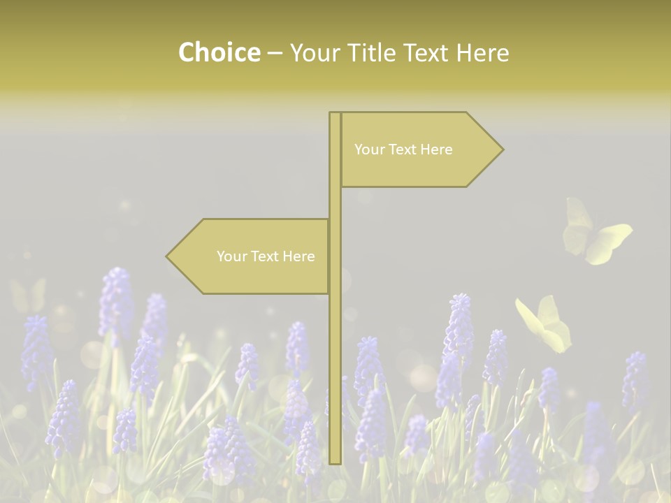 Bright Insect Close Up PowerPoint Template