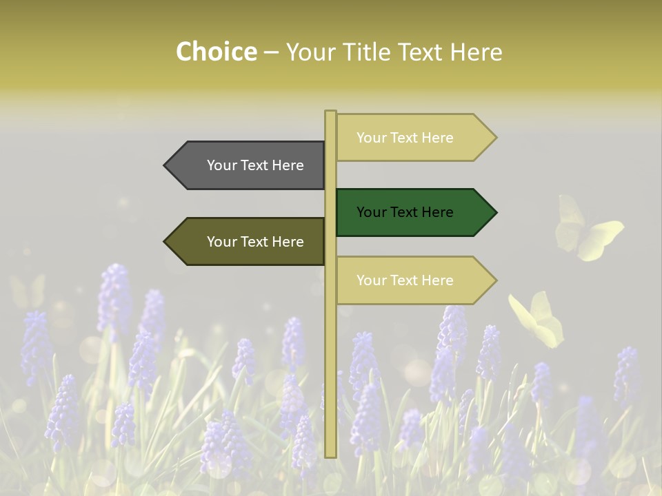 Bright Insect Close Up PowerPoint Template