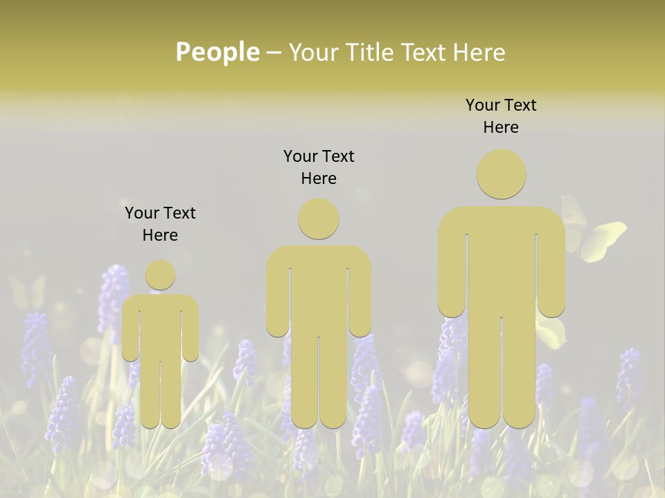 Bright Insect Close Up PowerPoint Template