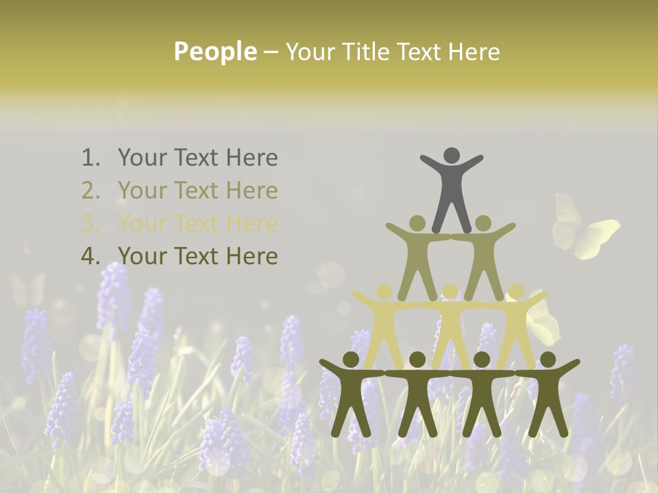 Bright Insect Close Up PowerPoint Template