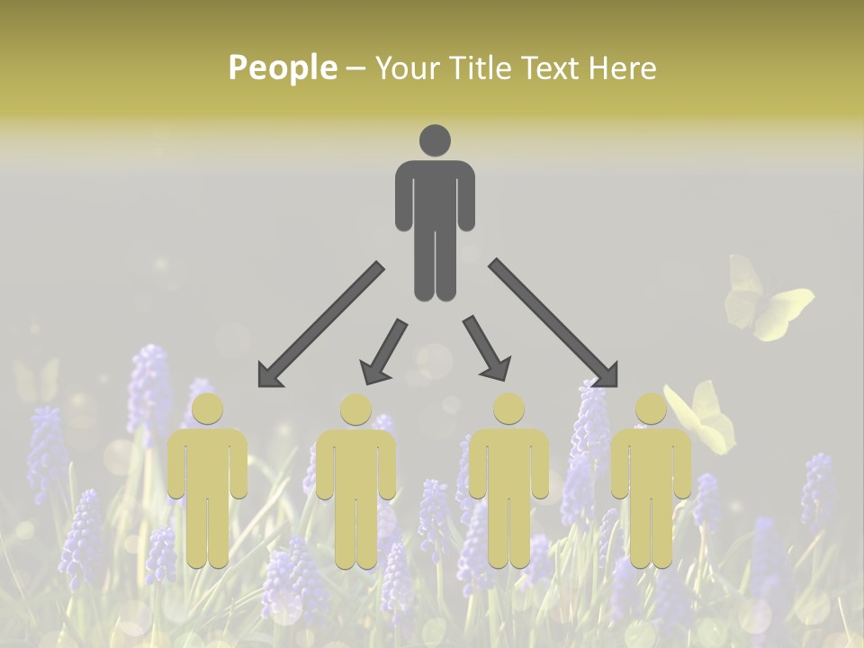 Bright Insect Close Up PowerPoint Template