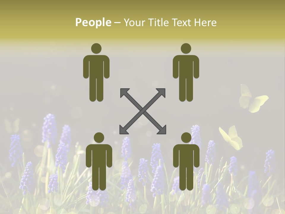 Bright Insect Close Up PowerPoint Template