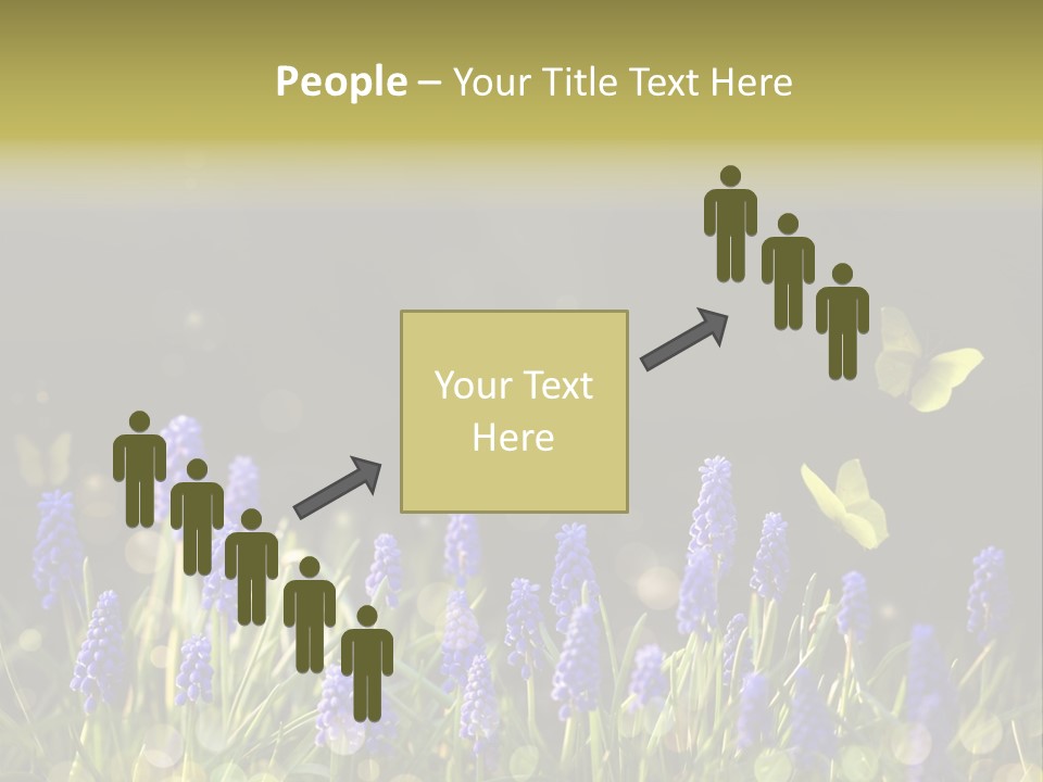 Bright Insect Close Up PowerPoint Template