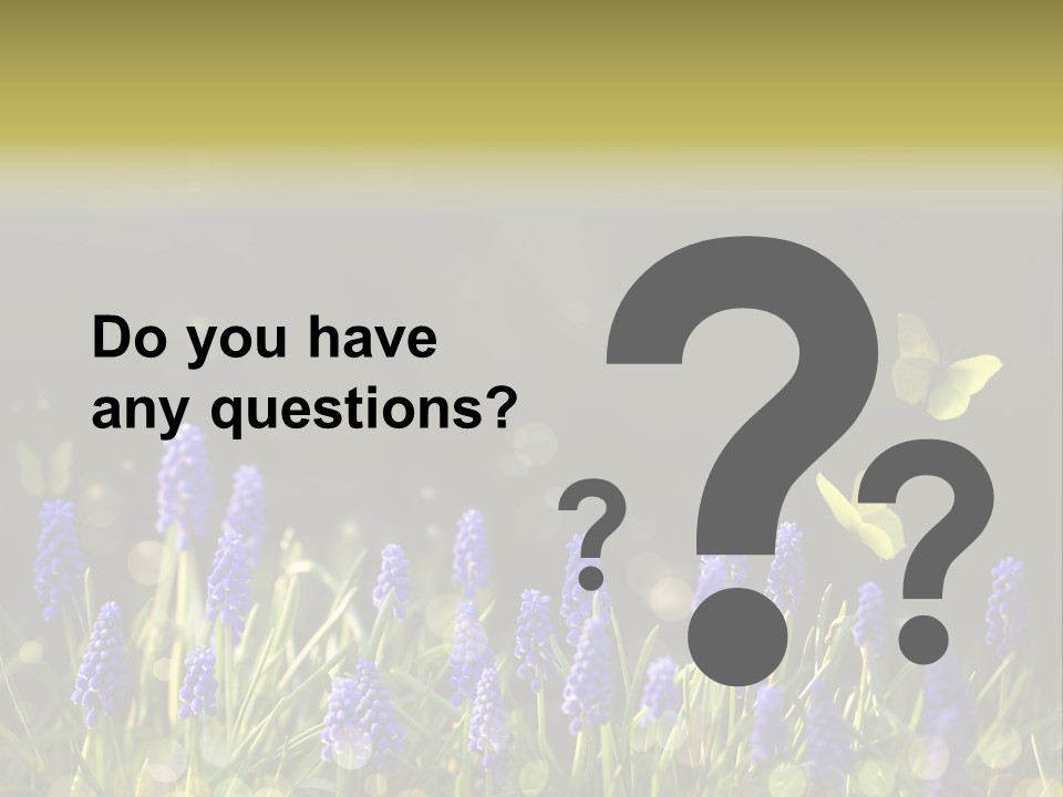 Bright Insect Close Up PowerPoint Template