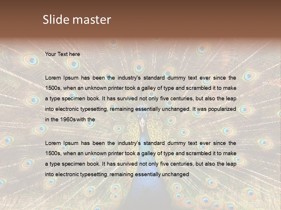 A Peacock With Its Feathers Spread Out PowerPoint Template