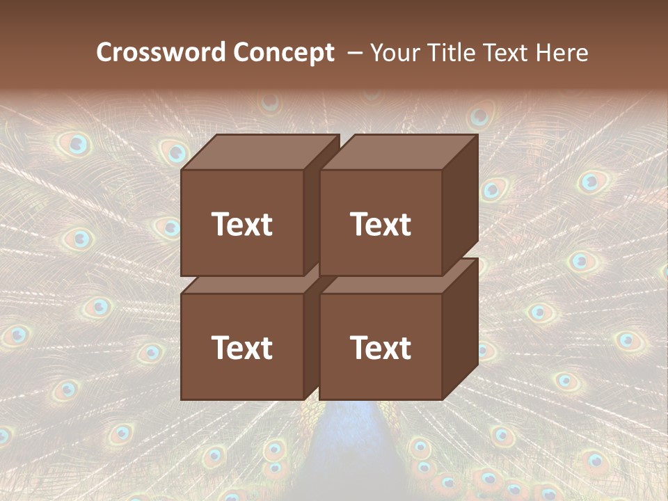 A Peacock With Its Feathers Spread Out PowerPoint Template