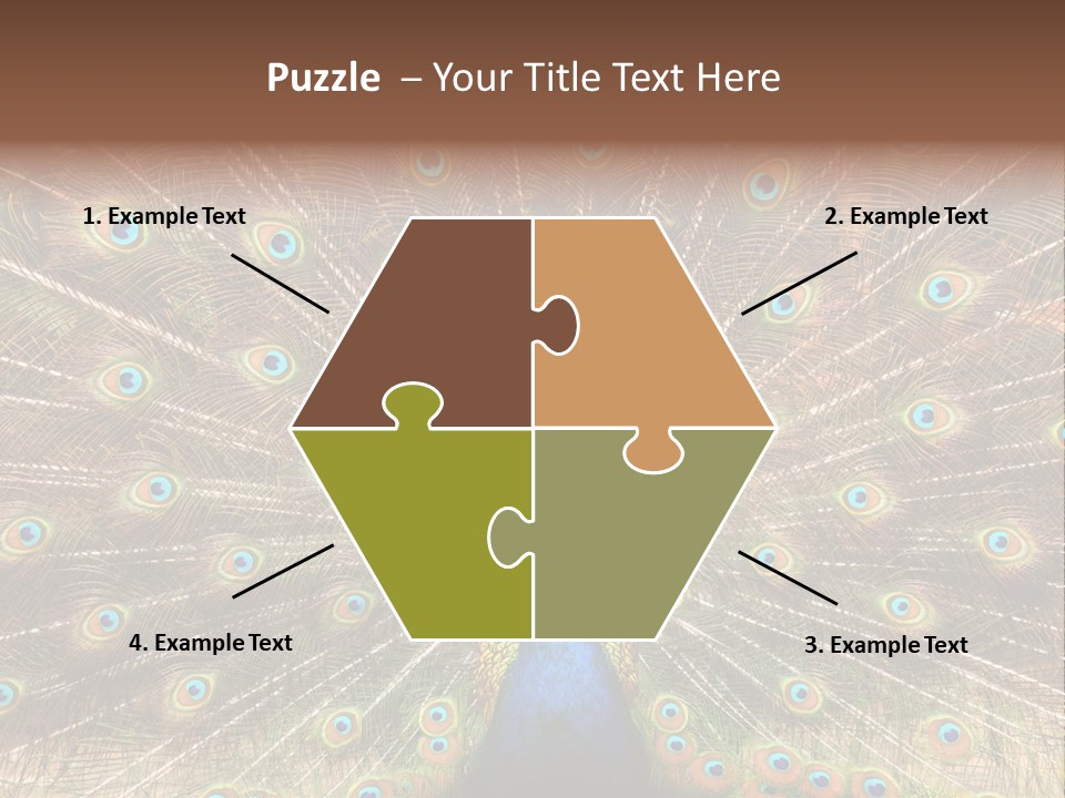 A Peacock With Its Feathers Spread Out PowerPoint Template