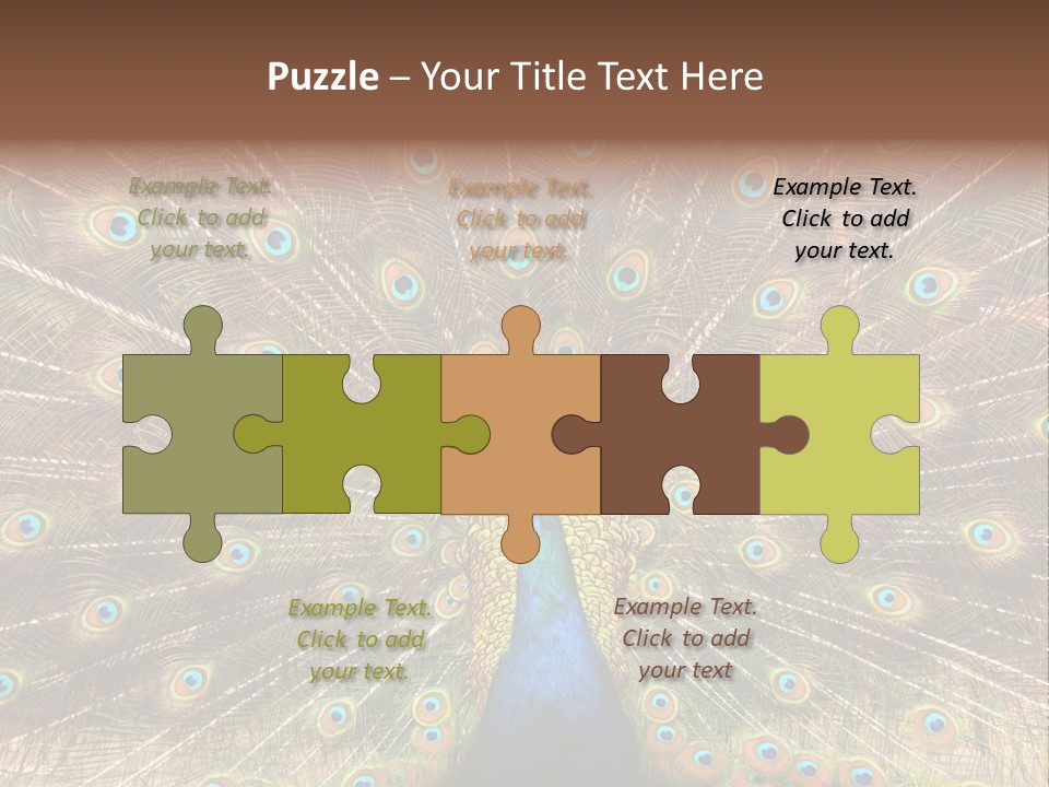 A Peacock With Its Feathers Spread Out PowerPoint Template