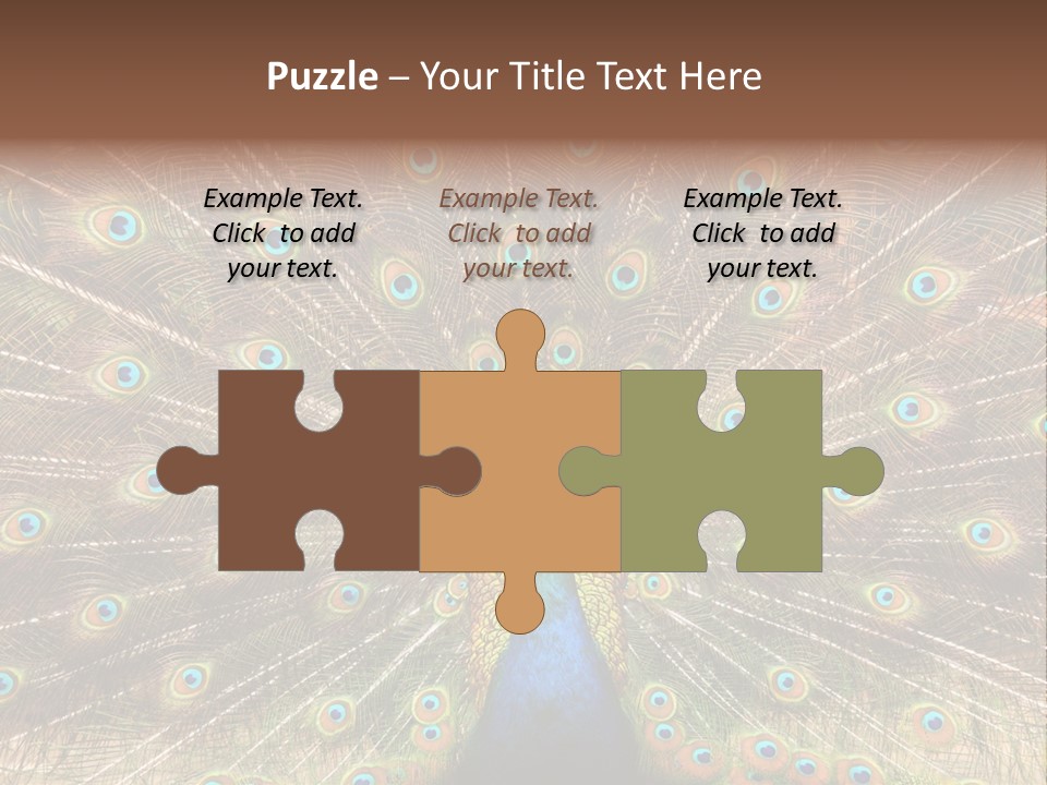 A Peacock With Its Feathers Spread Out PowerPoint Template