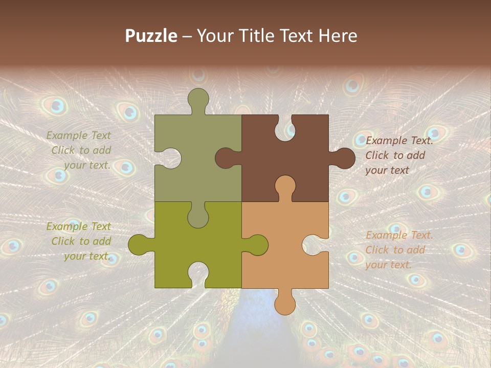 A Peacock With Its Feathers Spread Out PowerPoint Template