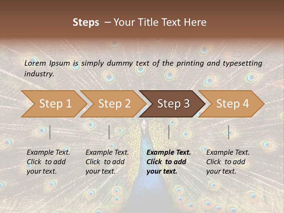 A Peacock With Its Feathers Spread Out PowerPoint Template