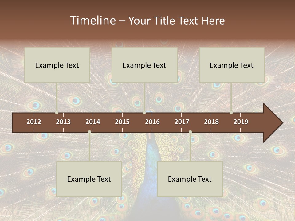 A Peacock With Its Feathers Spread Out PowerPoint Template
