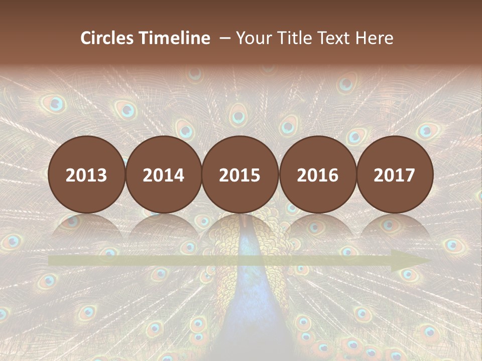 A Peacock With Its Feathers Spread Out PowerPoint Template