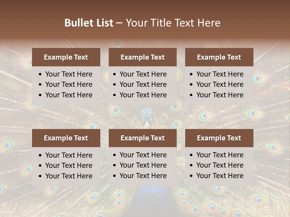 A Peacock With Its Feathers Spread Out PowerPoint Template