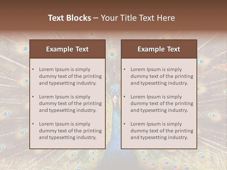 A Peacock With Its Feathers Spread Out PowerPoint Template