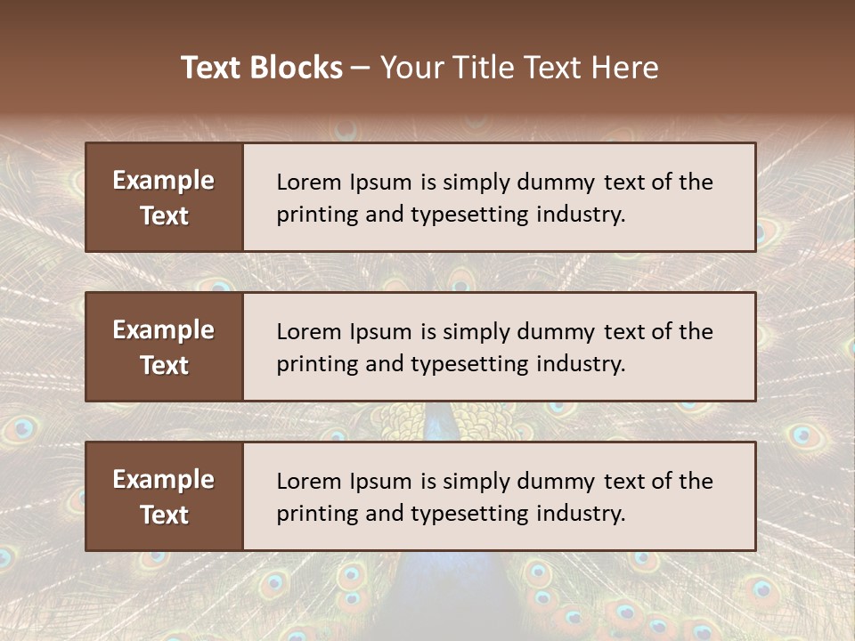 A Peacock With Its Feathers Spread Out PowerPoint Template