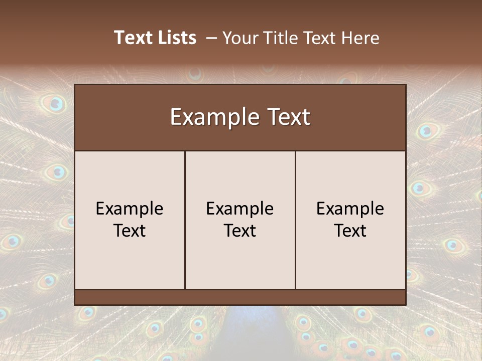 A Peacock With Its Feathers Spread Out PowerPoint Template