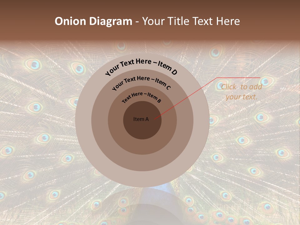 A Peacock With Its Feathers Spread Out PowerPoint Template