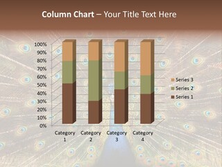 A Peacock With Its Feathers Spread Out PowerPoint Template