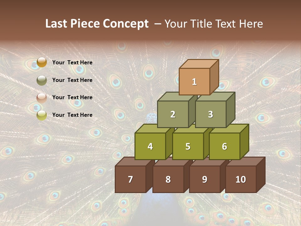 A Peacock With Its Feathers Spread Out PowerPoint Template