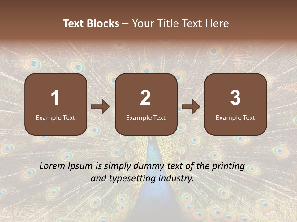 A Peacock With Its Feathers Spread Out PowerPoint Template