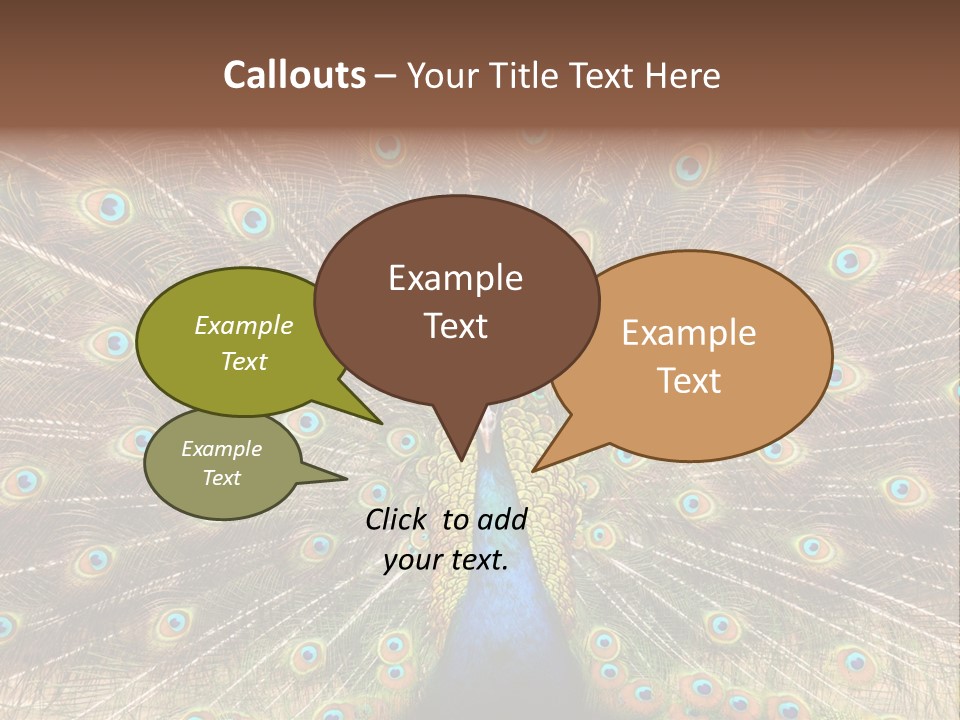 A Peacock With Its Feathers Spread Out PowerPoint Template