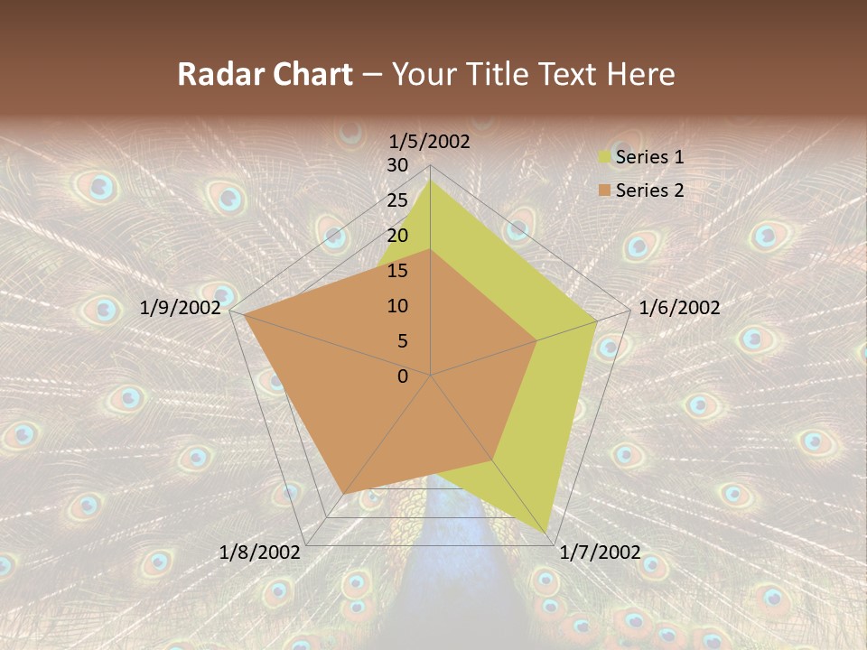 A Peacock With Its Feathers Spread Out PowerPoint Template
