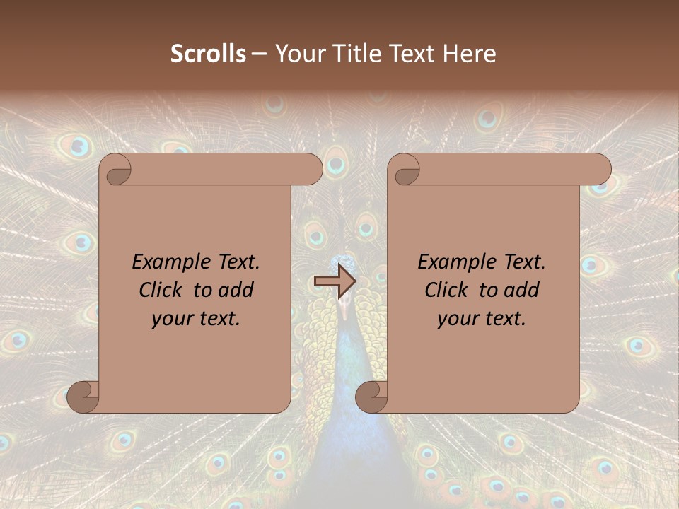 A Peacock With Its Feathers Spread Out PowerPoint Template