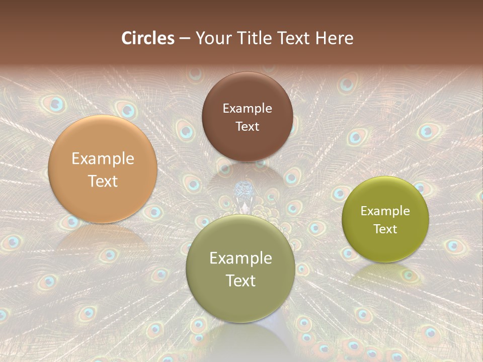 A Peacock With Its Feathers Spread Out PowerPoint Template