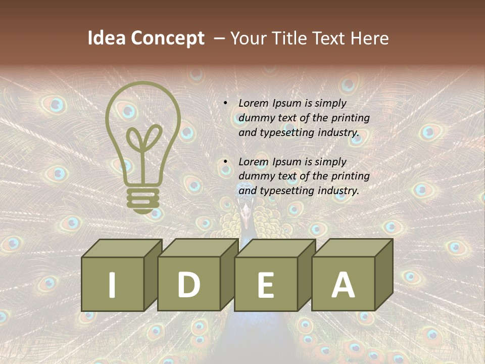 A Peacock With Its Feathers Spread Out PowerPoint Template