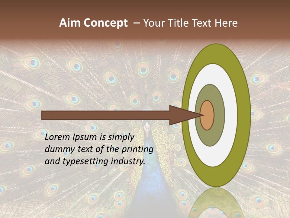 A Peacock With Its Feathers Spread Out PowerPoint Template