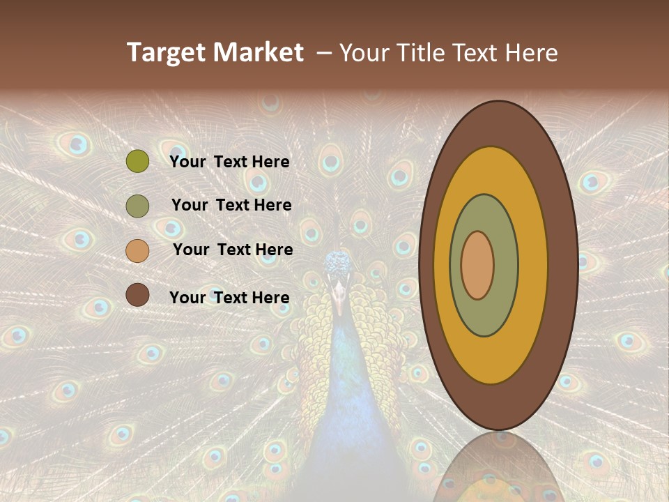 A Peacock With Its Feathers Spread Out PowerPoint Template