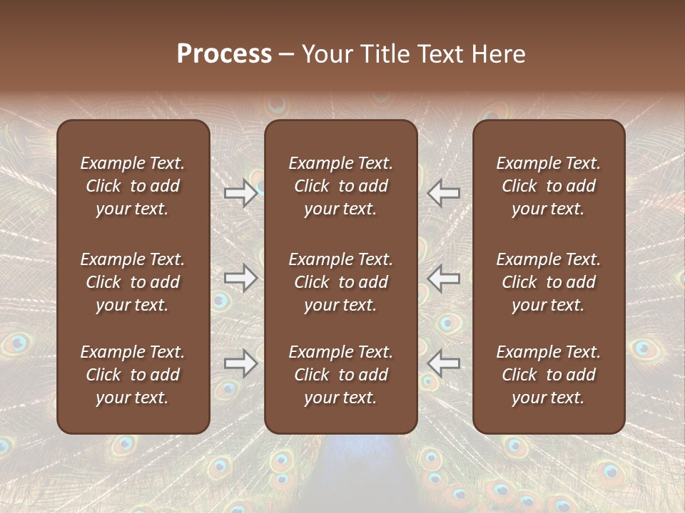 A Peacock With Its Feathers Spread Out PowerPoint Template