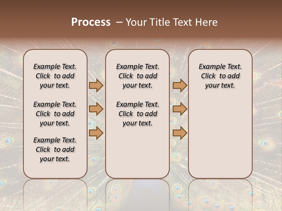 A Peacock With Its Feathers Spread Out PowerPoint Template