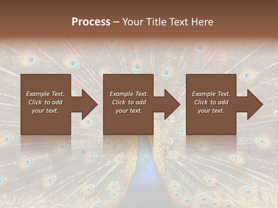 A Peacock With Its Feathers Spread Out PowerPoint Template