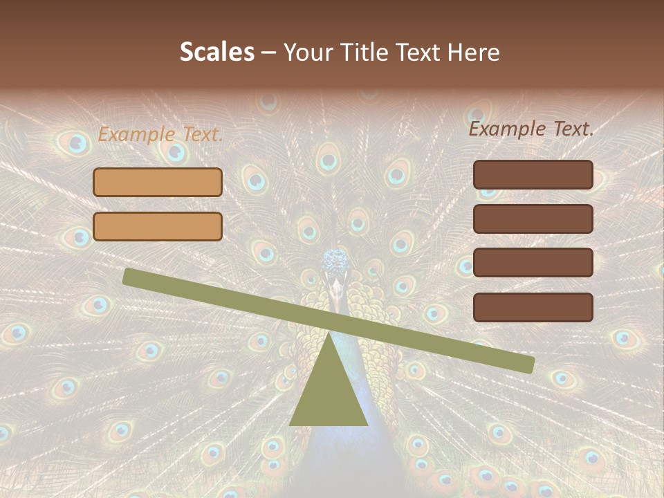 A Peacock With Its Feathers Spread Out PowerPoint Template