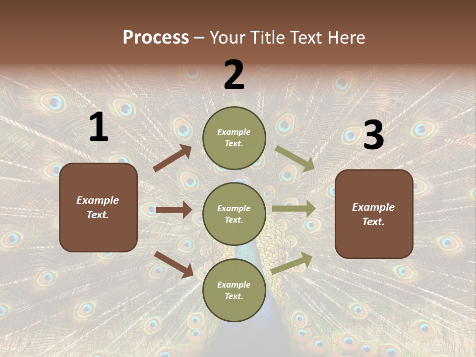 A Peacock With Its Feathers Spread Out PowerPoint Template