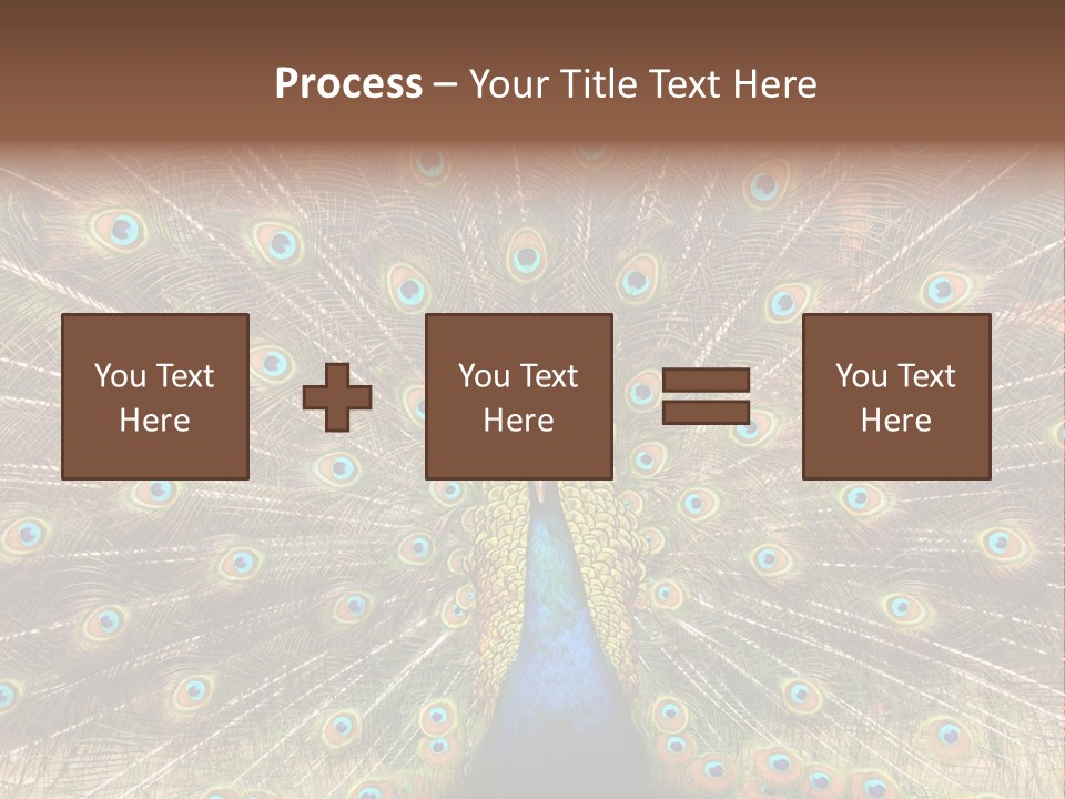 A Peacock With Its Feathers Spread Out PowerPoint Template