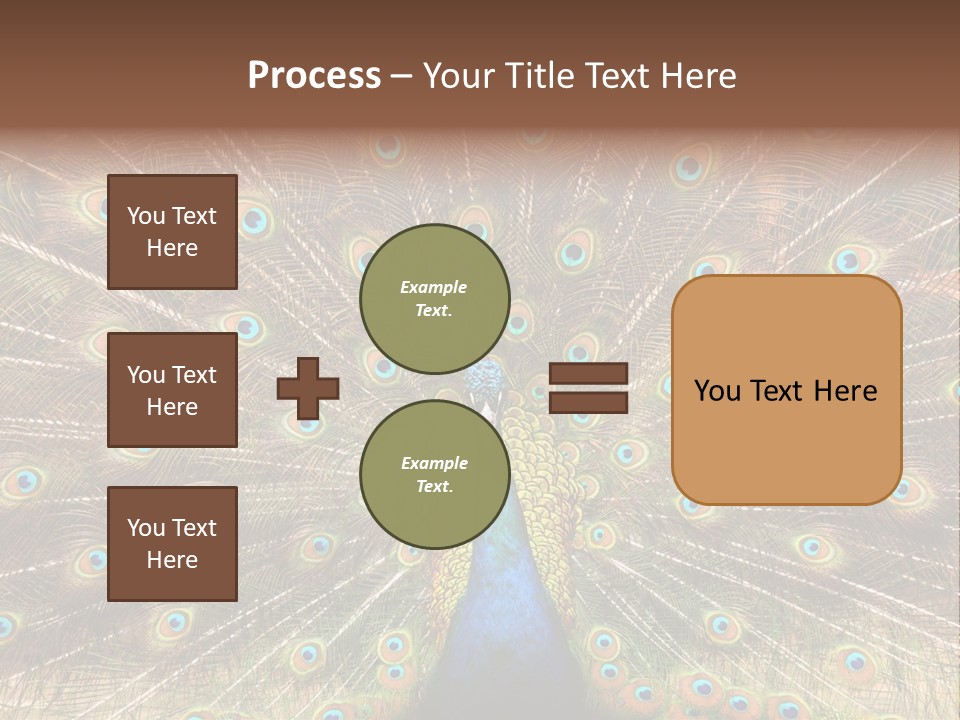 A Peacock With Its Feathers Spread Out PowerPoint Template