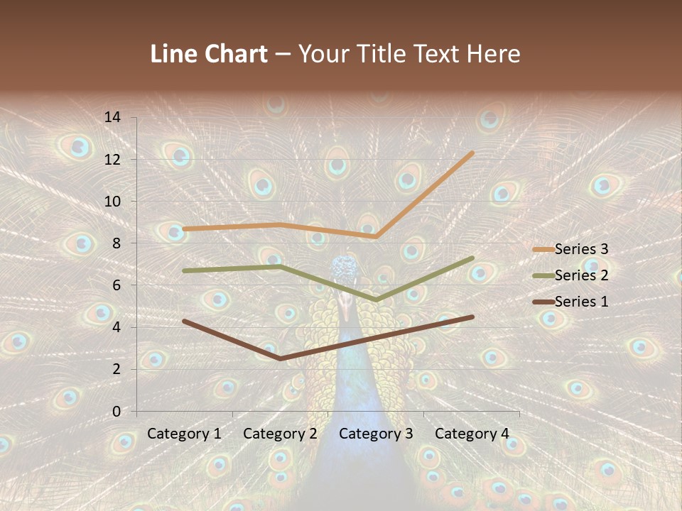 A Peacock With Its Feathers Spread Out PowerPoint Template