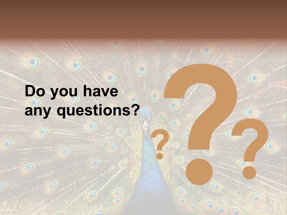 A Peacock With Its Feathers Spread Out PowerPoint Template