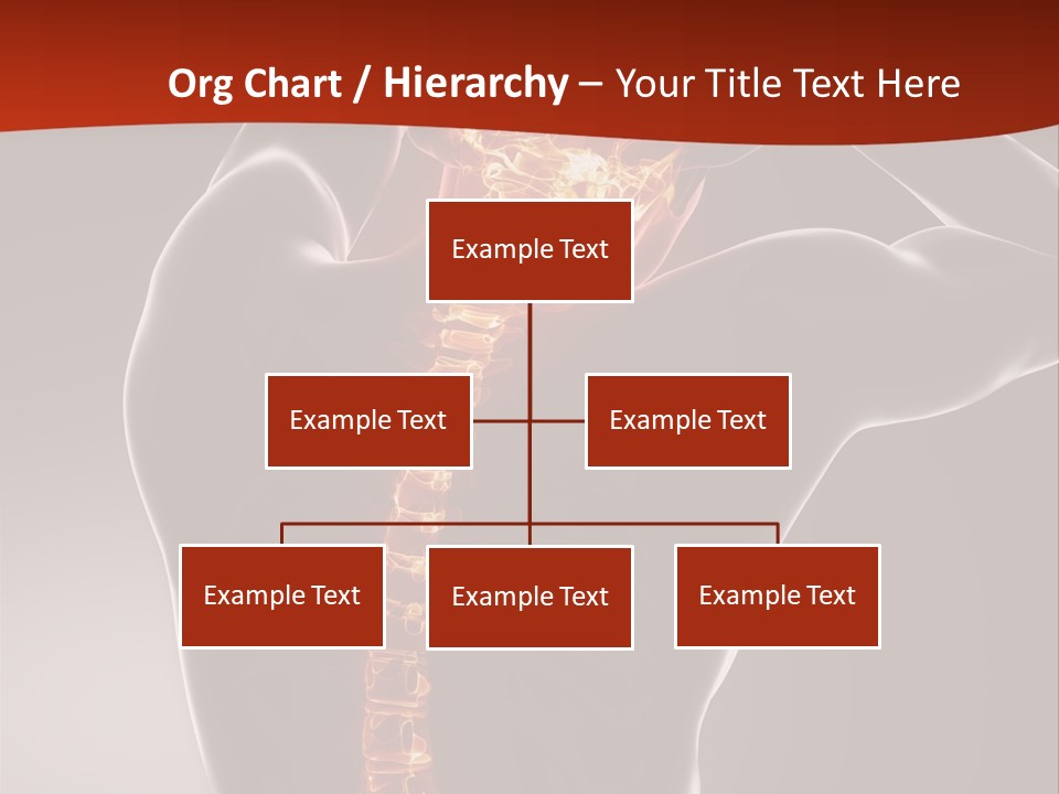 Roentgen Health Science PowerPoint Template